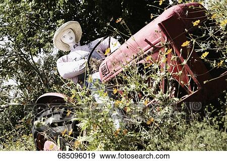 Scarecrow sitting in a tractor View Large Photo Image Stock Photo - Scarecrow sitting in a tractor. Fotosearch