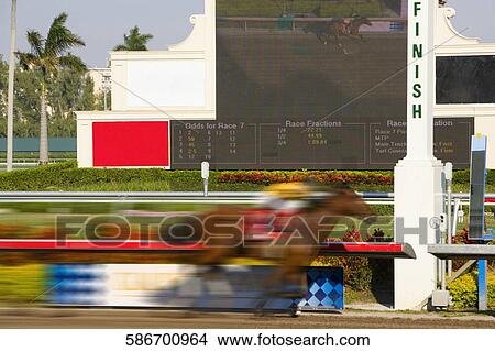 Side profile of a jockey on a horse at the finish line, Miami, Florida, USA View Large Photo Image Picture - Side profile of a jockey on a horse at the finish line, Miami, Florida, USA. Fotosearch
