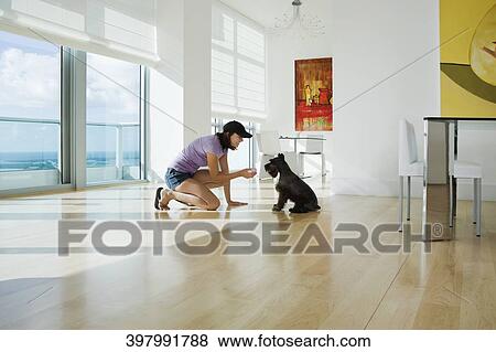Stock Photo - Side profile of a young woman playing with a dog. Fotosearch