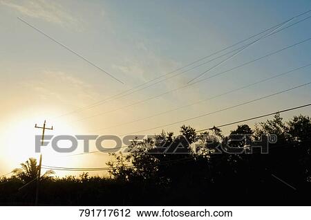 Silhouette of telephone lines with telephone pole, Florida Keys, Florida, USA View Large Photo Image Stock Image - Silhouette of telephone lines with telephone pole, Florida Keys, Florida, USA. Fotosearch
