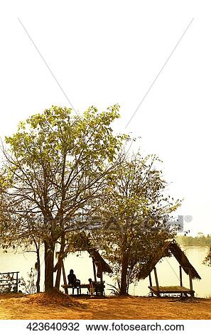 Silhouette of two people sitting under a sunshade, Chiang Rai, Amphoe Mueang, Chiang Rai Province, Thailand View Large Photo Image Stock Image - Silhouette of two people sitting under a sunshade, Chiang Rai, Amphoe Mueang, Chiang Rai Province, Thailand. Fotosearch