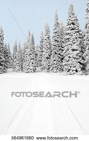 Stock Image - Snow covered trees on a landscape, West Yellowstone, Gallatin County, Montana, USA. Fotosearch