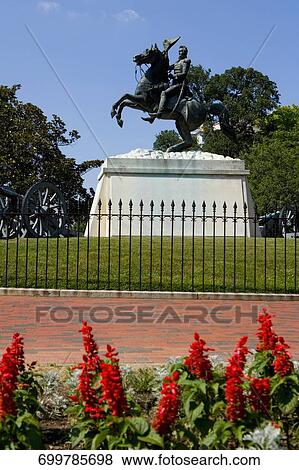 Stock Photo - Statue of Andrew Jackson in a national park, President's Park, Washington DC, USA. Fotosearch