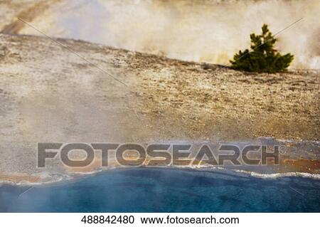 Steam emerging from a geyser, Old Faithful, Yellowstone National Park, Wyoming, USA View Large Photo Image Stock Image - Steam emerging from a geyser, Old Faithful, Yellowstone National Park, Wyoming, USA. Fotosearch
