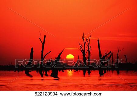 Sunrise over the sea View Large Photo Image Picture - Sunrise over the sea. Fotosearch