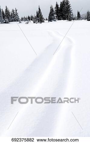 Tire track in snow, West Yellowstone, Gallatin County, Montana, USA View Large Photo Image Stock Image - Tire track in snow, West Yellowstone, Gallatin County, Montana, USA. Fotosearch