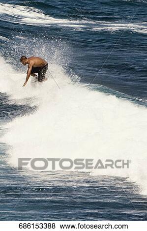 Tourist surfing in the sea, Hookipa Beach, Maui, Hawaii, USA View Large Photo Image Stock Photo - Tourist surfing in the sea, Hookipa Beach, Maui, Hawaii, USA. Fotosearch