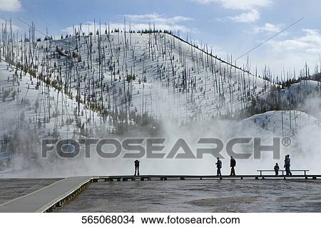 Picture - Tourists at a hot spring, Grand Prismatic Spring, Yellowstone National Park, Wyoming, USA. Fotosearch