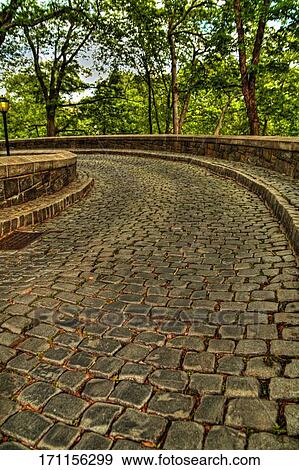 Trees along a cobblestone path View Large Photo Image Stock Photo - Trees along a cobblestone path. Fotosearch