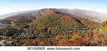 Trees in a hill range View Large Photo Image Stock Photo - Trees in a hill range. Fotosearch