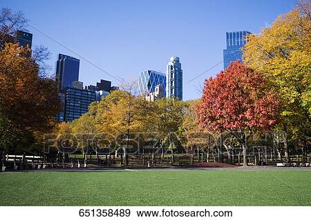 Trees in a park with buildings in the background, Central Park, Manhattan, New York City, New York State, USA View Large Photo Image Stock Photo - Trees in a park with buildings in the background, Central Park, Manhattan, New York City, New York State, USA. Fotosearch