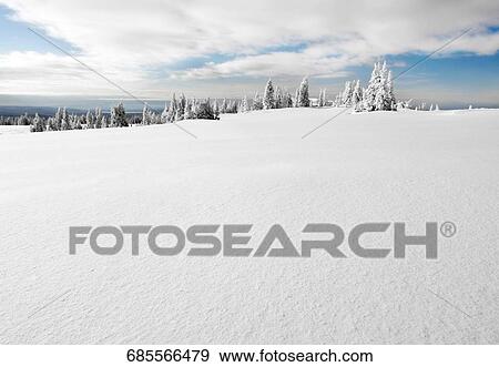 Trees in a snow covered landscape, West Yellowstone, Gallatin County, Montana, USA View Large Photo Image Stock Photo - Trees in a snow covered landscape, West Yellowstone, Gallatin County, Montana, USA. Fotosearch