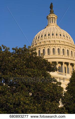 Trees in front of a government building, State Capitol Building, The Mall, Washington DC, USA View Large Photo Image Stock Photo - Trees in front of a government building, State Capitol Building, The Mall, Washington DC, USA. Fotosearch