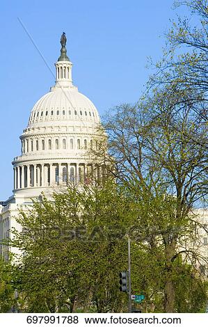 Trees in front of a government building, State Capitol Building, The Mall, Washington DC, USA View Large Photo Image Stock Photo - Trees in front of a government building, State Capitol Building, The Mall, Washington DC, USA. Fotosearch