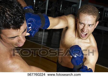 Two male boxers fighting View Large Photo Image Picture - Two male boxers fighting. Fotosearch