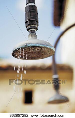 Water dripping from a shower head View Large Photo Image Stock Image - Water dripping from a shower head. Fotosearch