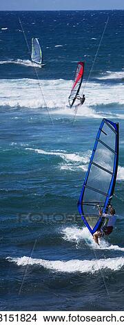 Picture - Windsurfers surfing in the sea, Hookipa Beach, Maui, Hawaii, USA. Fotosearch