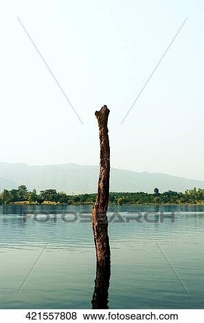 Wooden post in the lake, Chiang Rai, Amphoe Mueang, Chiang Rai Province, Thailand View Large Photo Image Stock Photo - Wooden post in the lake, Chiang Rai, Amphoe Mueang, Chiang Rai Province, Thailand. Fotosearch