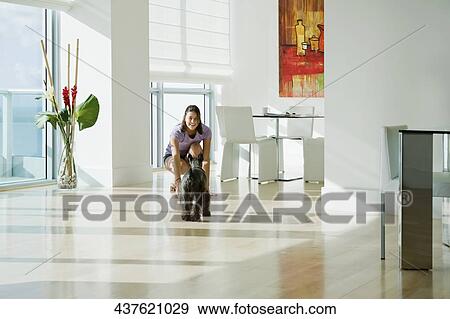 Young woman playing with a dog View Large Photo Image Stock Photo - Young woman playing with a dog. Fotosearch