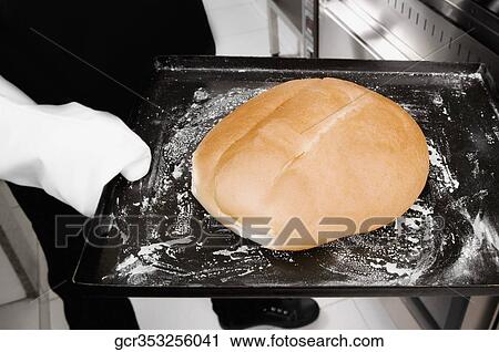 Chef holding a bun in a tray View Large Photo Image Stock Image - Chef holding a bun in a tray. Fotosearch