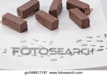 Chocolate pieces on a plate View Large Photo Image Stock Photo - Chocolate pieces on a plate. Fotosearch