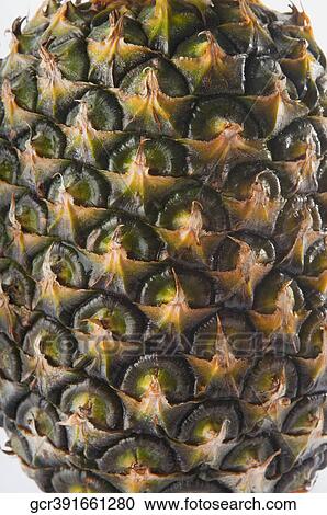 Close-up of a pineapple View Large Photo Image Stock Image - Close-up of a pineapple. Fotosearch