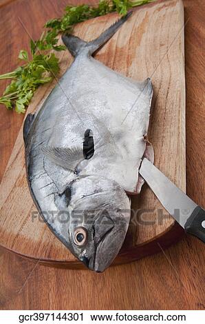 Close-up of a whole raw fish on a cutting board View Large Photo Image Stock Image - Close-up of a whole raw fish on a cutting board. Fotosearch