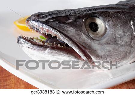 Close-up of a whole raw fish with orange View Large Photo Image Stock Image - Close-up of a whole raw fish with orange. Fotosearch
