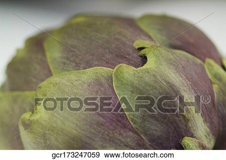 Close-up of an artichoke View Large Photo Image Stock Photo - Close-up of an artichoke. Fotosearch
