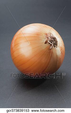Stock Image - Close-up of an onion. Fotosearch