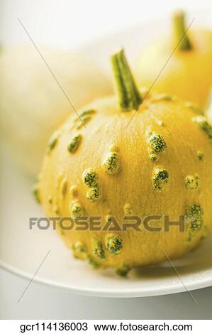 Close-up of baby pumpkins View Large Photo Image Stock Image - Close-up of baby pumpkins. Fotosearch