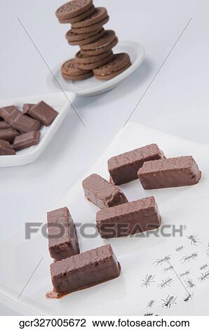 Close-up of chocolate pieces and chocolate cookies View Large Photo Image Stock Image - Close-up of chocolate pieces and chocolate cookies. Fotosearch