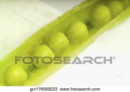 Close-up of peas in a pod View Large Photo Image Stock Image - Close-up of peas in a pod. Fotosearch