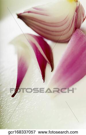 Close-up of sliced onions View Large Photo Image Stock Photo - Close-up of sliced onions. Fotosearch