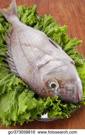 High angle view of a whole raw fish on a cutting board View Large Photo Image Stock Photograph - High angle view of a whole raw fish on a cutting board. Fotosearch