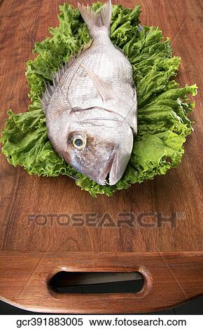 High angle view of a whole raw fish on a cutting board View Large Photo Image Stock Photography - High angle view of a whole raw fish on a cutting board. Fotosearch