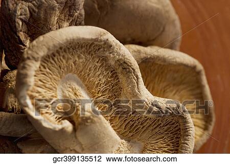 Stock Image - High angle view of dry mushrooms. Fotosearch