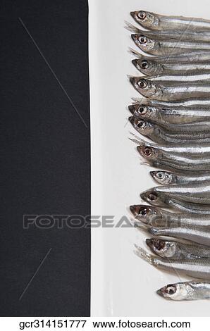 High angle view of sardines on a platter View Large Photo Image Stock Photo - High angle view of sardines on a platter. Fotosearch