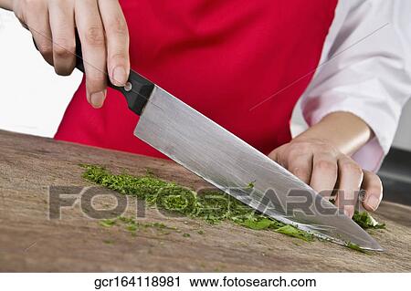 Mid section view of a female chef chopping cilantro leaves with a knife View Large Photo Image Stock Image - Mid section view of a female chef chopping cilantro leaves with a knife. Fotosearch