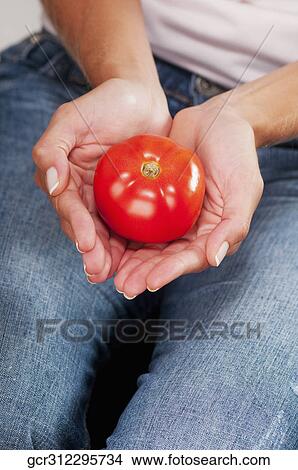 Picture - Tomato in a woman's hands. Fotosearch