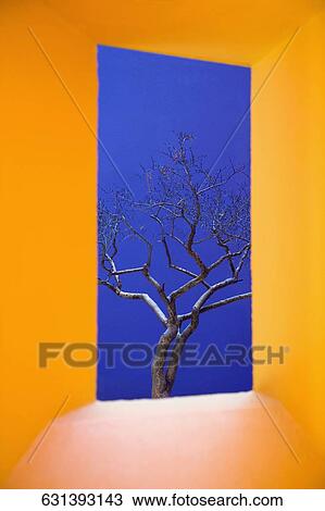 Stock Image - Bare tree viewed through a window. Fotosearch
