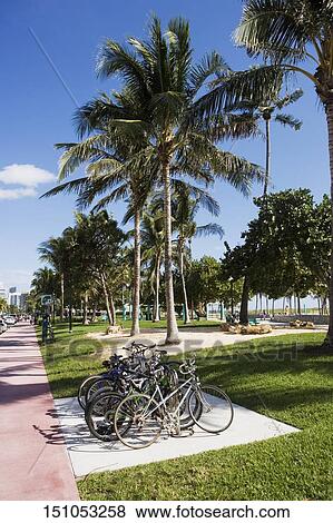 Bicycles parked at the roadside View Large Photo Image Stock Photo - Bicycles parked at the roadside. Fotosearch