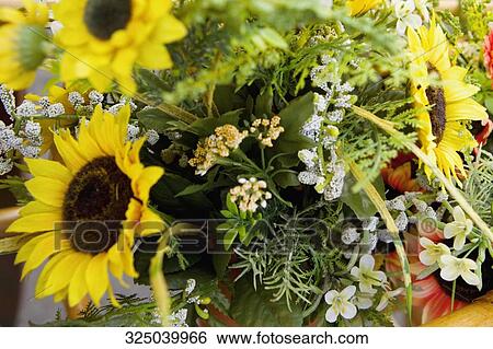 Bunch of flowers in a market stall View Large Photo Image Stock Photograph - Bunch of flowers in a market stall. Fotosearch