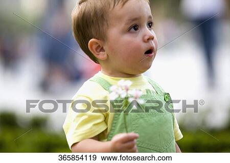 Close-up of a baby boy holding a flower View Large Photo Image Stock Photo - Close-up of a baby boy holding a flower. Fotosearch