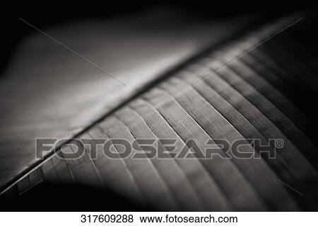 Close-up of a banana leaf View Large Photo Image Stock Photo - Close-up of a banana leaf. Fotosearch