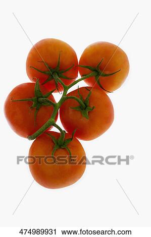 Close-up of a bunch of tomatoes View Large Photo Image Stock Image - Close-up of a bunch of tomatoes. Fotosearch