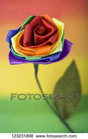 Close-up of a colorful flower representing Gay symbol View Large Photo Image Stock Photo - Close-up of a colorful flower representing Gay symbol. Fotosearch