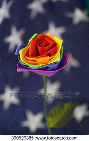 Close-up of a colorful flower representing Gay symbol View Large Photo Image Stock Photography - Close-up of a colorful flower representing Gay symbol. Fotosearch