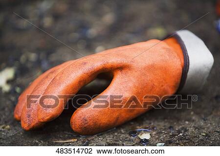 Close-up of a glove View Large Photo Image Stock Image - Close-up of a glove. Fotosearch