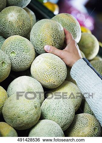Close-up of a human hand taking a cantaloupe View Large Photo Image Stock Photograph - Close-up of a human hand taking a cantaloupe. Fotosearch